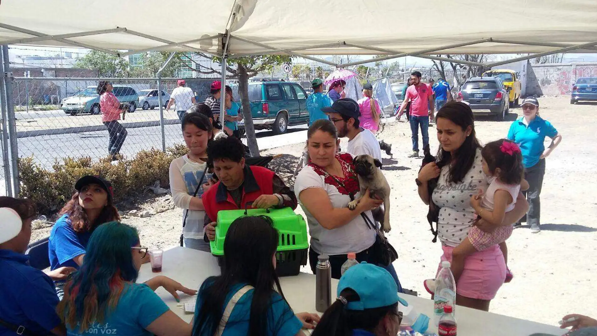 El segundo festival canino se realizó en la federación de profesionistas en la zona oriente.